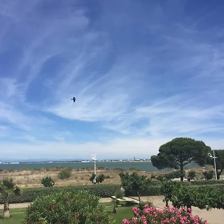 Apartment 2 4 Pers Avec Parking, Vue - Port Camargue - Fr-1-731-130